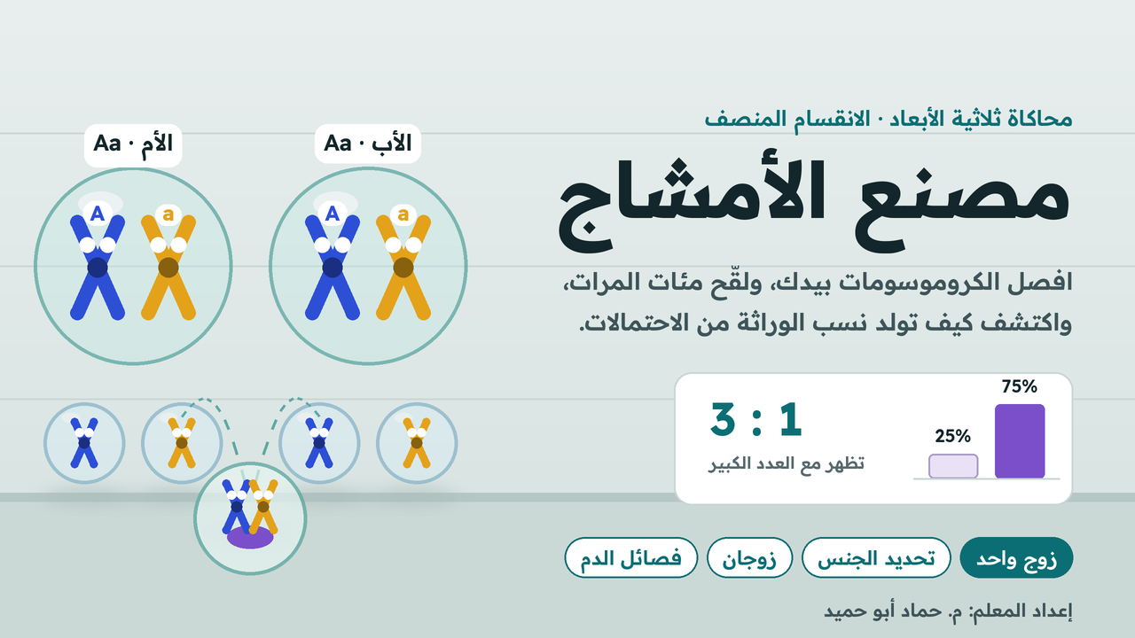 مصنع الأمشاج | الانقسام المنصف والجينات